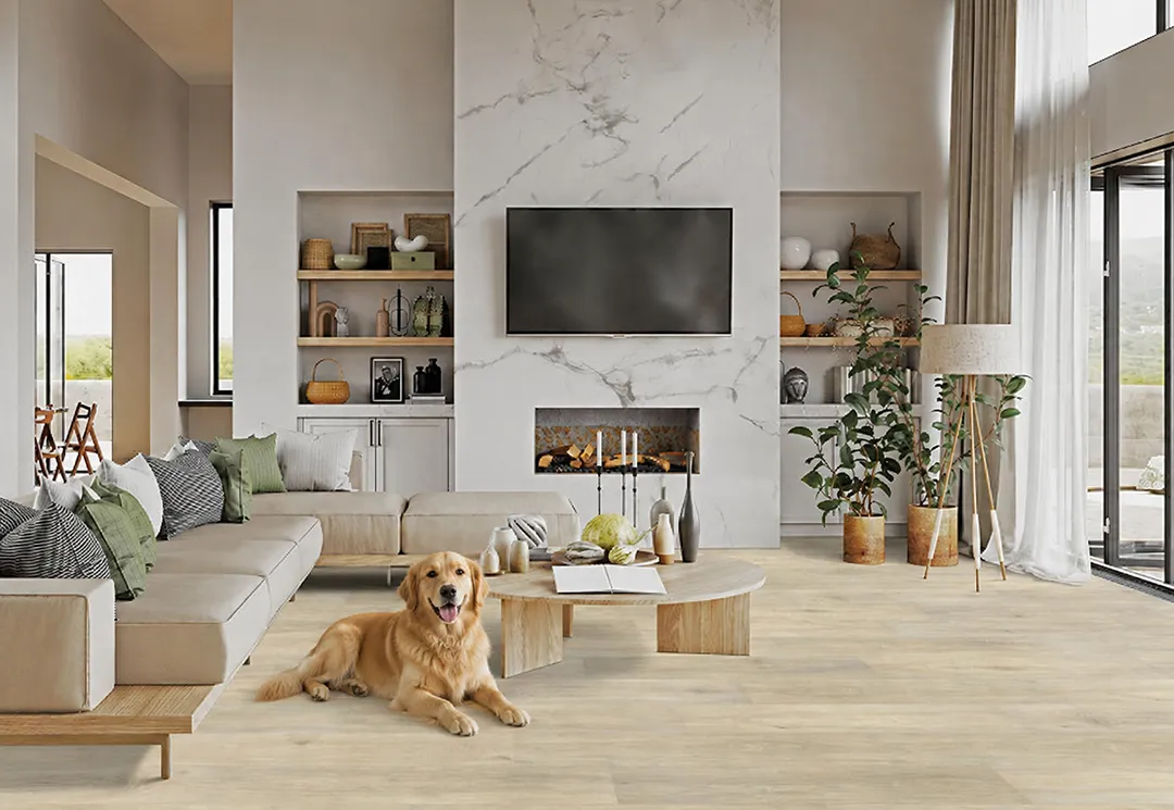 Hickory-Look-Laminate-Pets Hickory Look Laminate in modern living space with dog laying on floor | Dolphin Carpet