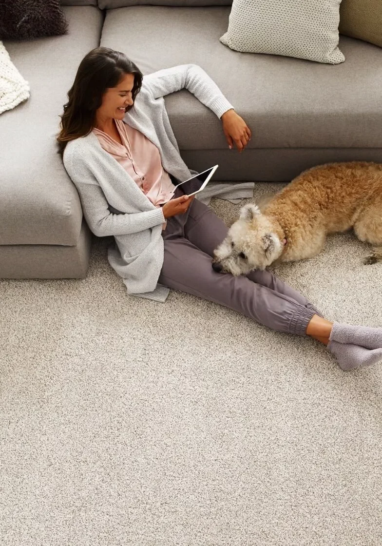 Comfortable flooring | Dolphin Carpet & Tile