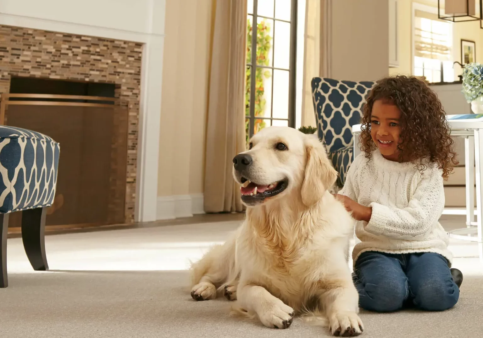 Pet friendly flooring | Dolphin Carpet & Tile
