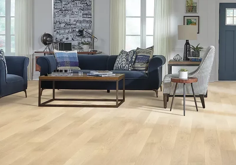 Living Room Hardsurface Flooring for Real Estate Agents | Dolphin Carpet & Tile