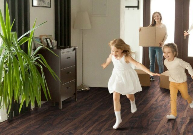 glenridge-gluedown MSI luxury vinyl flooring | Dolphin Carpet & Tile