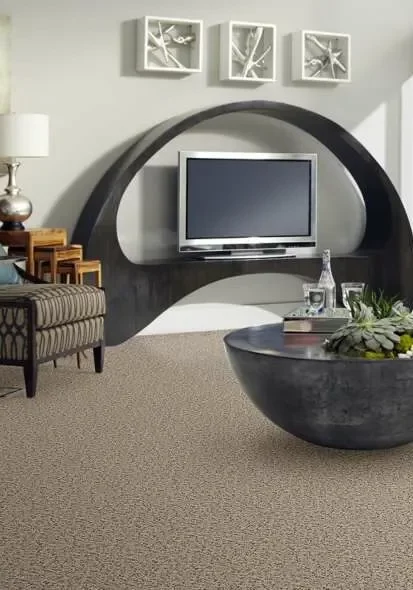 Living room flooring | Dolphin Carpet & Tile